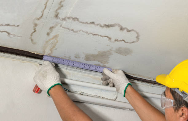 Reliable Burst Pipe Cleanup contractor in Joseph City, AZ by Water Damage Irwin